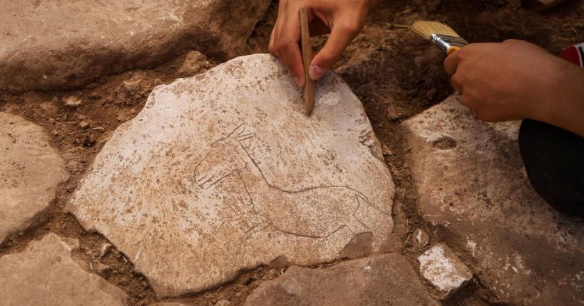 Neolitik çağ yerleşim yerlerinden Karahantepe'de koşan yaban eşeği figürü bulundu.