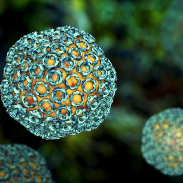 Hayvanlardan insana bulaşan ölümcül salgın yayılıyor: 29 kişiyi öldürdü!