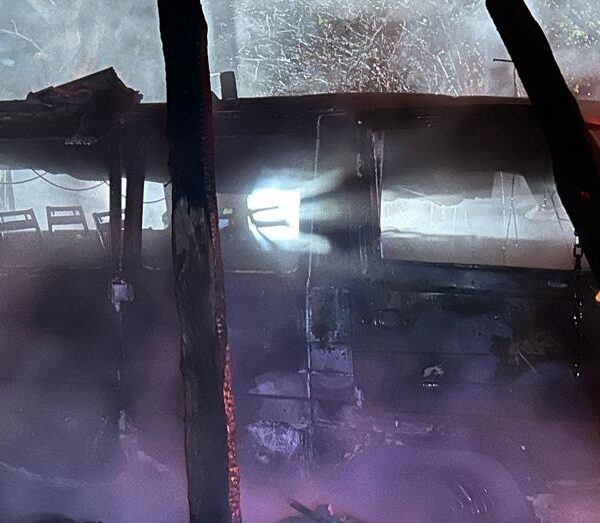 Bartın’da Yıldırım İki Aracı Ateşe Verdi